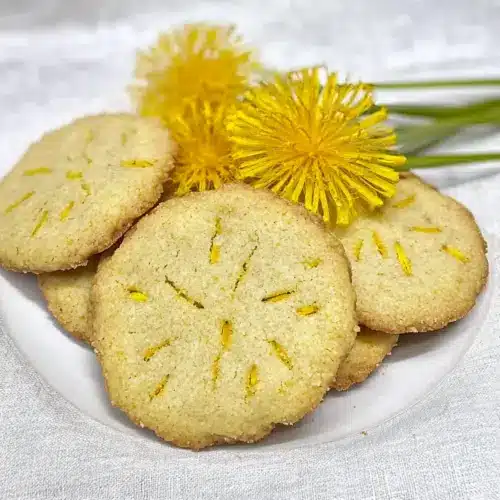 Dandelion Shortbread Cookies