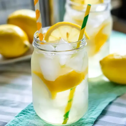 Homemade Lemon Shake Up